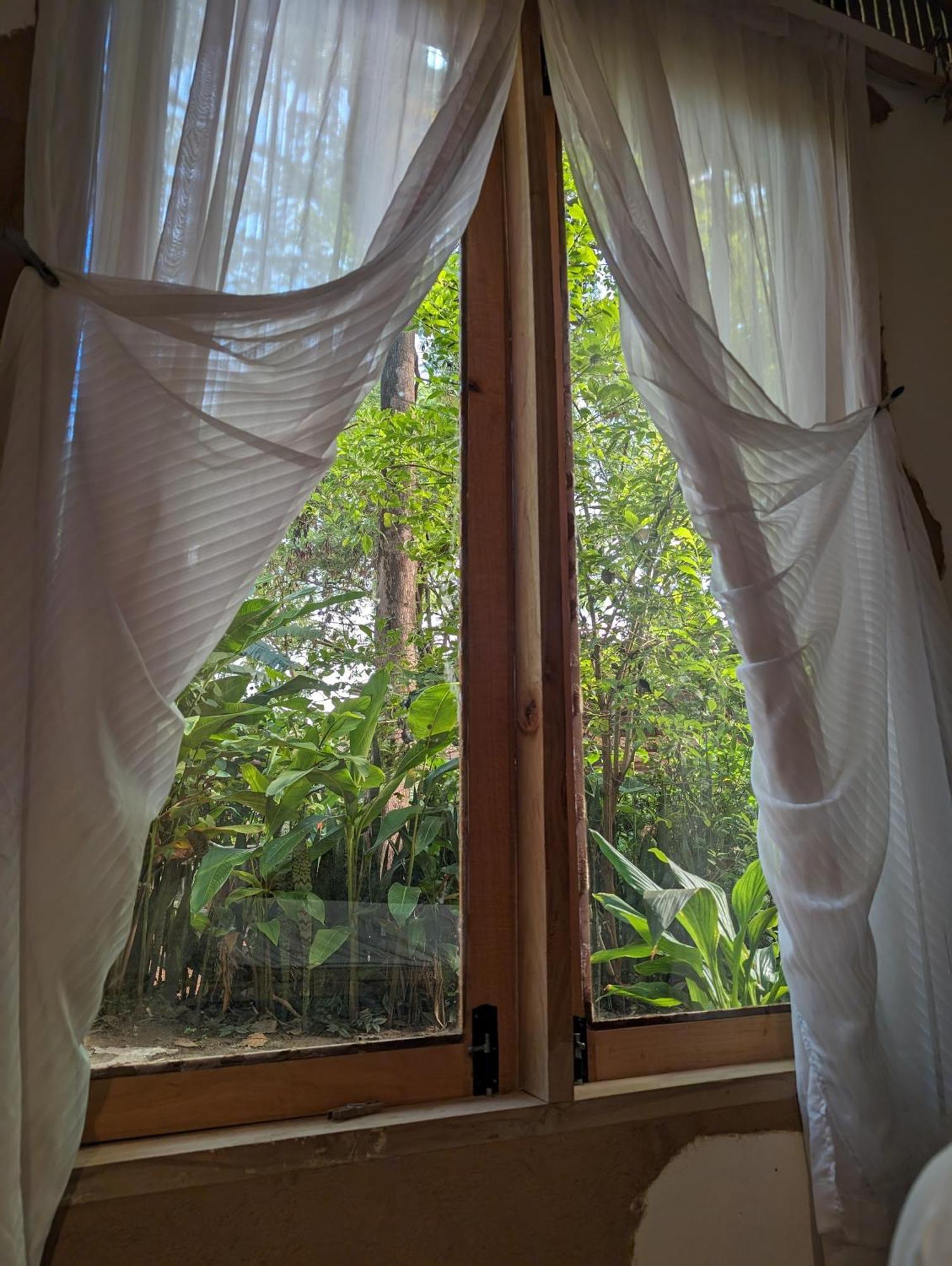 Backyard Hostel Moshi Exterior foto